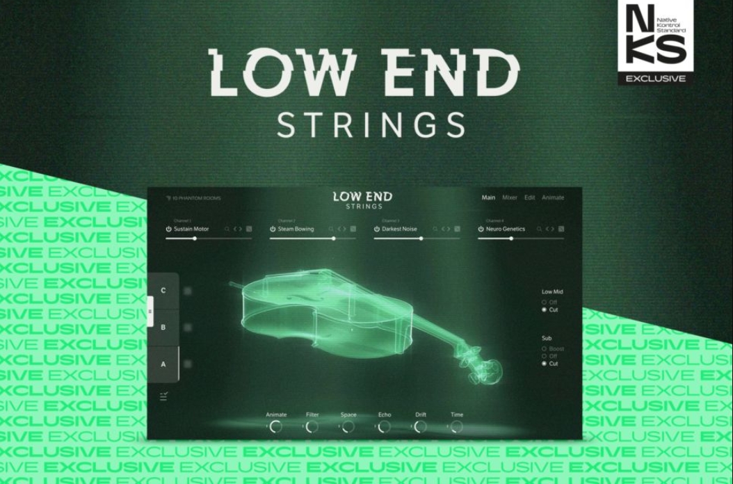 Native Instruments Low End Strings