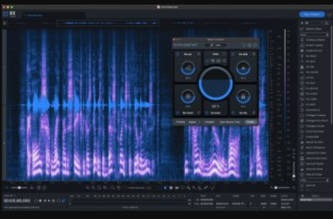 iZotope RX 11 Audio Editor Advanced