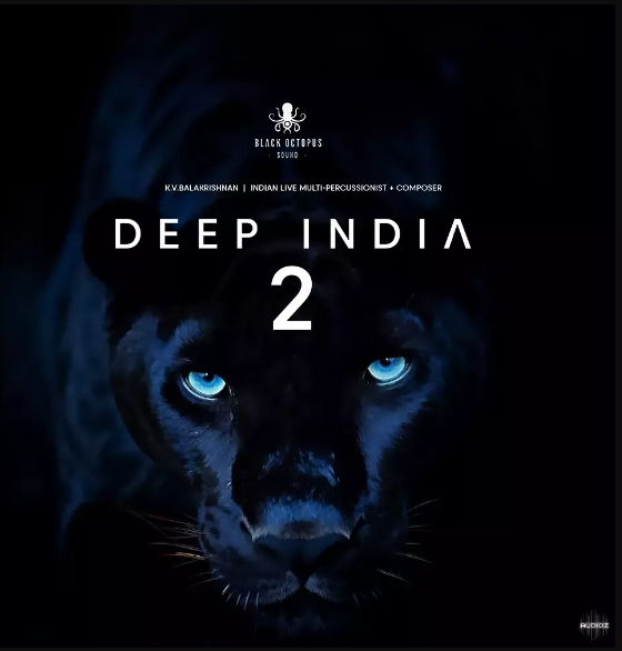 Black Octopus Sound Deep India Vol.2