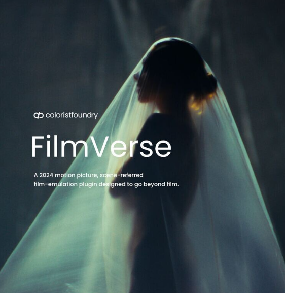 Colorist Foundry – Filmverse