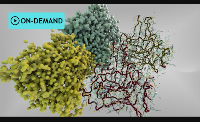 Houdini.School – HS-227 – Visualizing Protein Data Bank Information with Kate Xagoraris