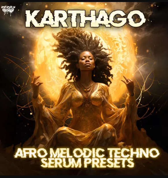 Infinity Audio Karthago Afro Melodic Techno Serum Presets