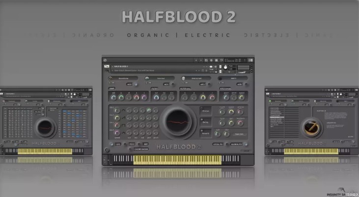 Insanity Samples HALFBLOOD 2 v1.5.0 KONTAKT