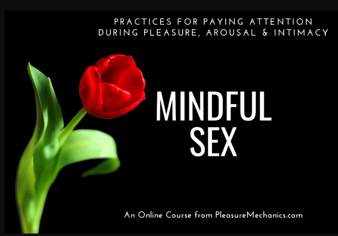 Plesure Mechanics – Mindful Sex