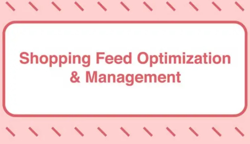 Take Some Risk – Shopping Feed Optimization and Management