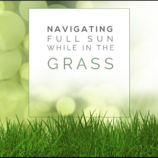 AwTeaches – Full Sun in Green Grass