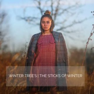 AwTeaches – Sticks of Winter