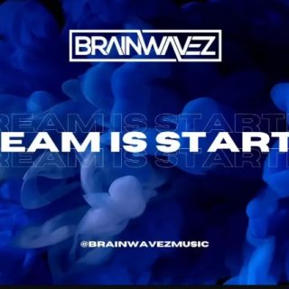 Brainwavez 'Crackdown' Project Breakdown