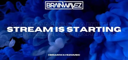 Brainwavez 'Crackdown' Project Breakdown