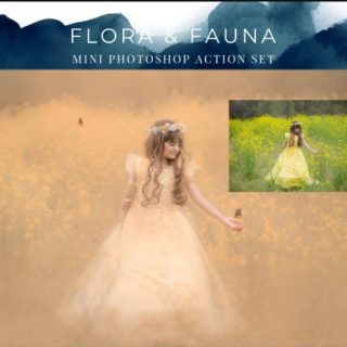 Finding North Education – Flora & Fauna Mini Photoshop Action Set + Editing