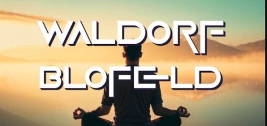 LFO Store Waldorf Blofeld Meditation (50 Presets) SYX BPZ