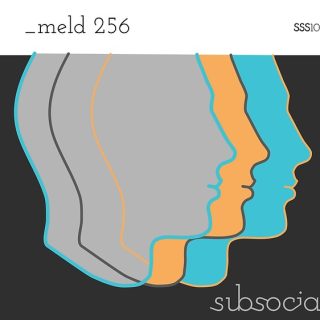 Subsocial Studios SSS100 _meld 256 (Ableton Meld presets)