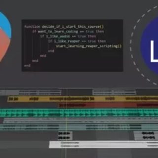 Udemy Reaper Scripts for Beginners