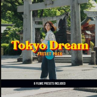 VG Studios Tokyo Dream Preset Pack