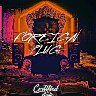 Certified Audio Foreign Plug