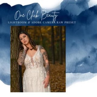 Finding North Education – One Click Beauty Preset for Lightroom & ACR