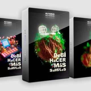Flywavs DeBi HaCER MaS SaMPLes