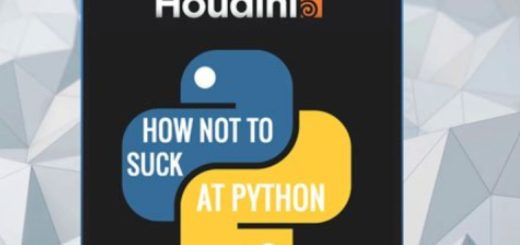 Gumroad – How not to suck at Python / SideFX Houdini