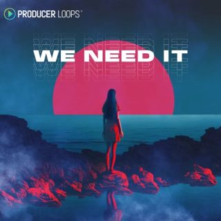 Producer Loops We Need It