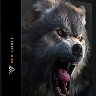 VFX Grace – Blender Animal