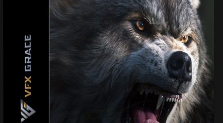 VFX Grace – Blender Animal