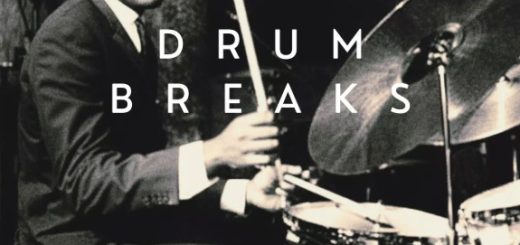 Vinyl Zen Vinyl Drum Breaks Vol. 6 (22 Drum Breaks Perfectly Looped)