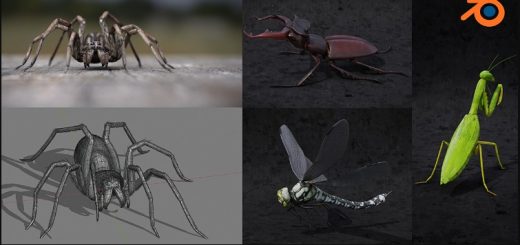 Blendermarket – Blender 2.81 – Insect And Spiders Creation Full Course