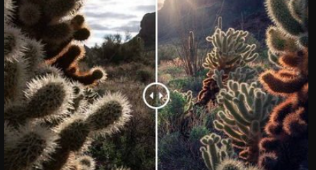 Max Rive Photography – Photoshop Sunstar Creation Tutorial