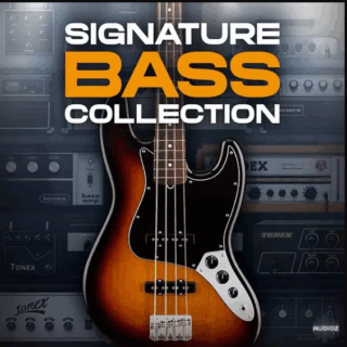 IK Multimedia TONEX Signature Bass Collection TXP