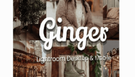 3dMotional – 30 Ginger Lightroom and Lut Bundle
