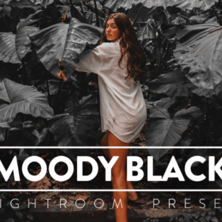 FilterGrade – 10 Moody Black Lightroom Preset