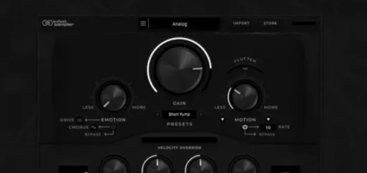 Infinit Audio Essentials Infinit Sampler