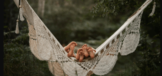 Meridian Presets – Meg Loeks – Solstice