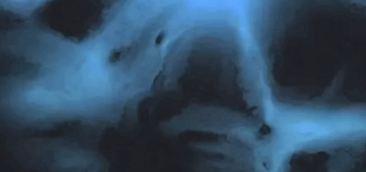 Native Instruments Scene Willow v1.0.0 KONTAKT